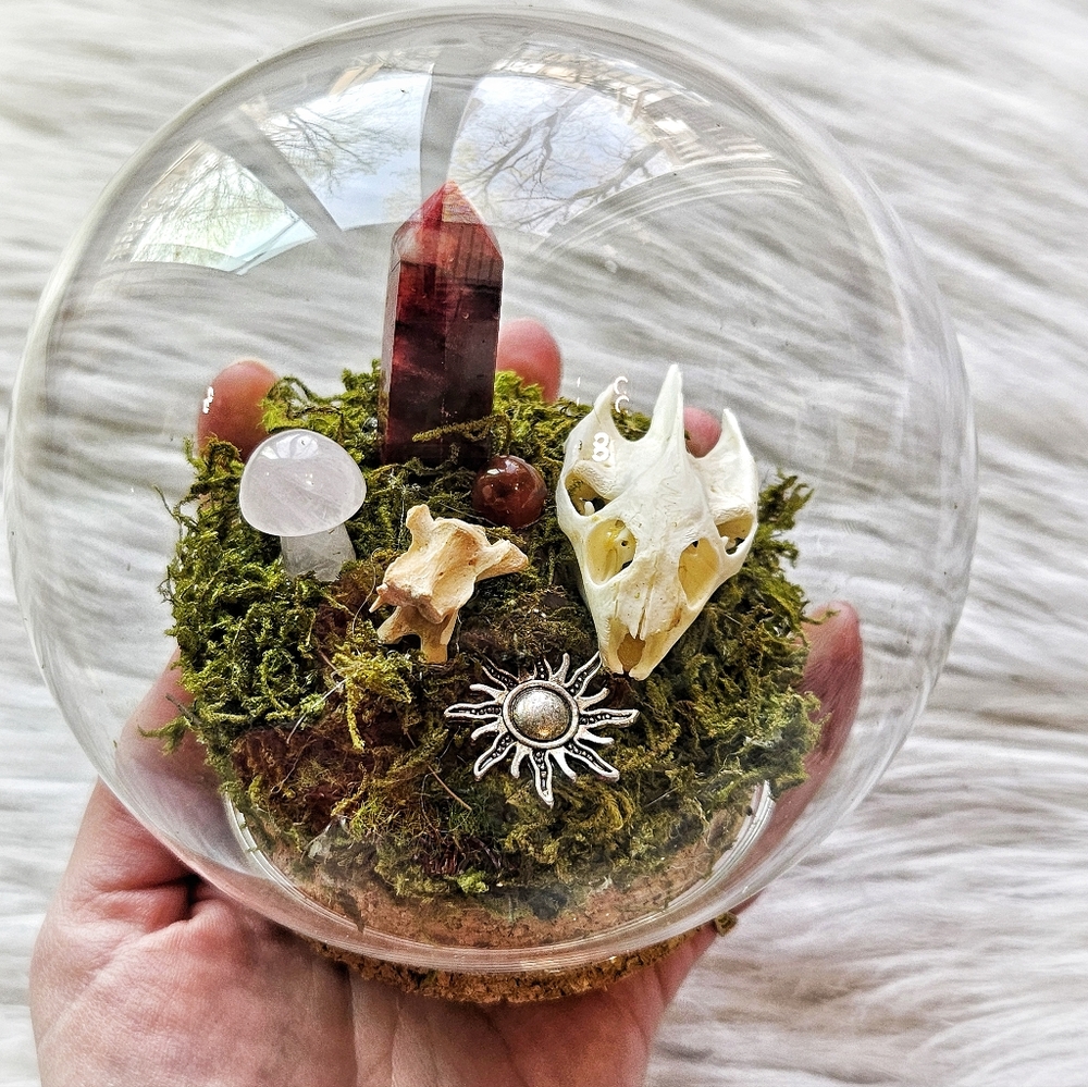 Crystal/Skull Terrarium Globe - Picture 4 of 4